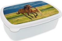 MuchoWow Broodtrommel - Paarden - Landschap - Lunchbox - 18x12x6 cm - BPA-vrij