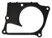 Gasket, Icecat Gasket, water pump