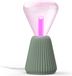Philips Hue Lightguide 3D-geprinte Tafellamp (Saliegroen) - E27 - Wit en Gekleurd Licht - Incl. 1 Hue Lightguide Triangle Lamp - Hue White and Color Ambiance