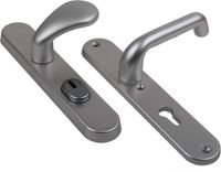 Ami Veiligheidsgarnituur SKG3 173 knop 386 Rota 250/50/15 kt72 /pc72 F1