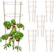 Merkloos / Sans marque Relaxdays plantensteun set van 6, klimplanten, metaal & kunststof, 76 cm, 3 verstelbare ringen