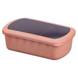 Fackelmann Flexibox Be The Move Lunchtrommel 1 l Polypropyleen (PP) Rood