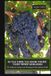 So Pacific Coast Wines So You Think You Know Pacific Coast Wines? (2016-2026): The California, Oregon and Washington Wine Industry Profile
