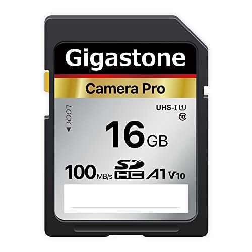 GIGASTONE Camera Pro 16 GB SDHC geheugenkaart - 100 MB/sec. - UHS-I U1 V10 Klasse 10
