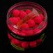 Pro Line Pop-Ups The NG Squid - Pop-Ups
