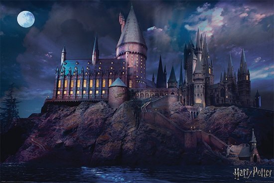 Pyramid International Harry Potter Hogwarts Castle Poster 61 x 91,5 cm