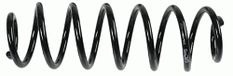 SACHS 996 622 chassisveer