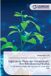Digitization, Lap Lambert Academic Publishing Digitization, Molecular Conservation, And Ethnobotanical Studies: In The Selected Villages Of Theni District, Tamil Nadu, India Paperback