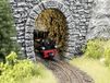 Noch 58033 tunnel-Fels-binnenwand, gebogen, 2 stuks, elk 9,5 cm lang