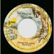 Stevens, Ray - Ahab The Arab - Along Came Jones (7inch, 45rpm)