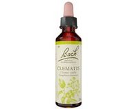 Fleurs de Bach Original Clematis 20 ml