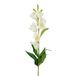Mica Decorations Kunstbloem Campanula Floral - H71 cm - wit