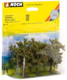 Noch Appelbomen
