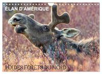 ÉLAN Calvendo ÉLAN D'AMÉRIQUE - ROI DES FORÊTS DU NORD (Calendrier mural 2027 DIN A4 vertical)