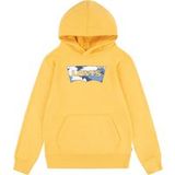 Levi's Garçon Sweat à capuche Batwing Fill Ambre