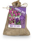 Bloomique - The Purple Bag - Mix van 50 - Tulpen, Hyacinten, Allium - Bloembollen