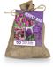 Bloomique - The Purple Bag - Mix van 50 - Tulpen, Hyacinten, Allium - Bloembollen