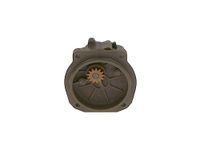 Bosch 440020028 Diesel RIC