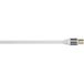 Avinity Câble d'antenne - Coaxial - 3m - Blanc - 110dB
