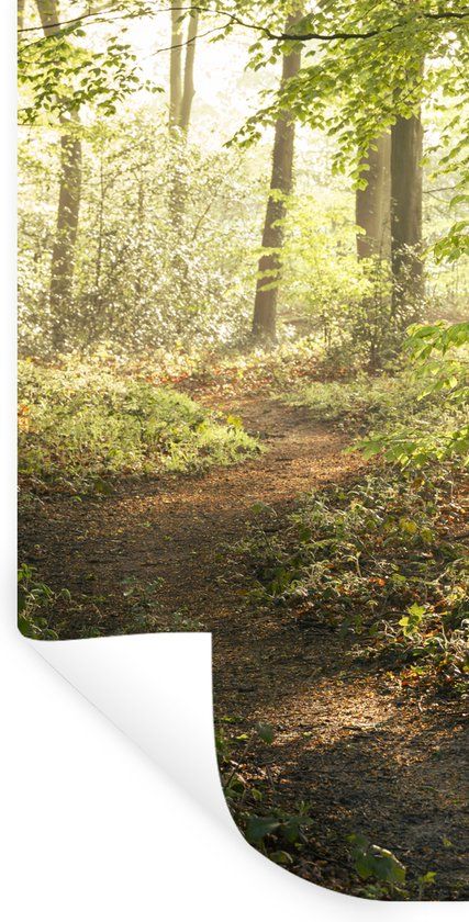 StickerSnake Muursticker - Bos - Bomen - Pad - Zon - Planten - 40x80 cm