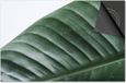 Dietrix Inductie beschermer 81x52 - Leaves - 3 Wit met groen blad