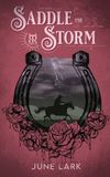 Saddle Libri GmbH Saddle the Storm