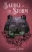 Saddle Libri GmbH Saddle the Storm