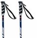 Swix Wc Pro Sg Junior Stokken Zilver 105 cm Jongen