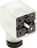 Lumberg Automation GDM21F6-D24-10D 934888011 Connecteur de vanne Transparent