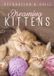 Sonic Rendezvous San Juan Music Various Artists - Relax Series - Dreaming Kittens (DVD)