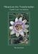 Adventure into Transformation: A guide to your new existence: 2