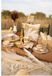 Ambiente Chemin de table Waving grass