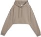 PUMA W PUMA X HYROX HEAVYWEIGHT HOODIE Vrouwen Fitness & Training Polyester L Mouse Gray Herfst/Winter 2026