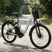 C2 PRO Vélo électrique - 66 cm, modèle homme/femme - E-bike - batterie lithium 36V 18Ah - moteur de moyeu arrière sans balai 250W - 7 vitesses - freins à disque - argent/blanc