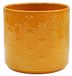 Ivyline Planter, Aardewerk, Gele Bij, D17.5cm x H17cm