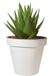 Pro Garden Bloempot - Wit - Rond - 20 cm - Kunststof