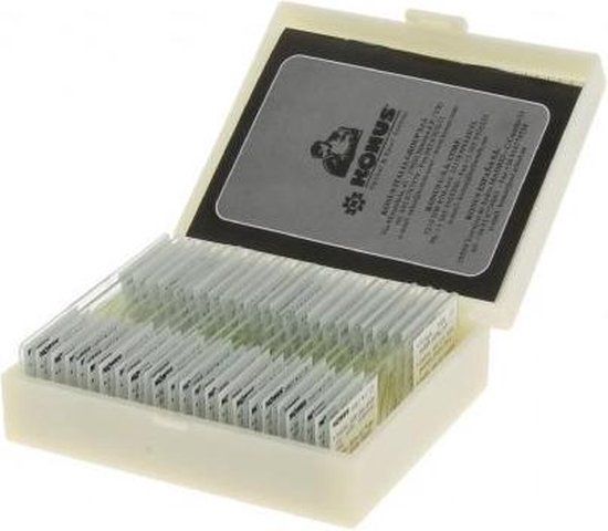 Konus Preparaten Set Biologie: Zoölogie 1 (25 Stuks) - Meerkleurig