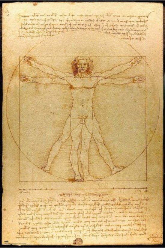 Grupo Erik Poster Vitruvian Man - 61x91.5cm - Modern