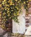 Your Decoration B.V. Kunstdruk Christian Sommer - Sommergarten 98x118cm