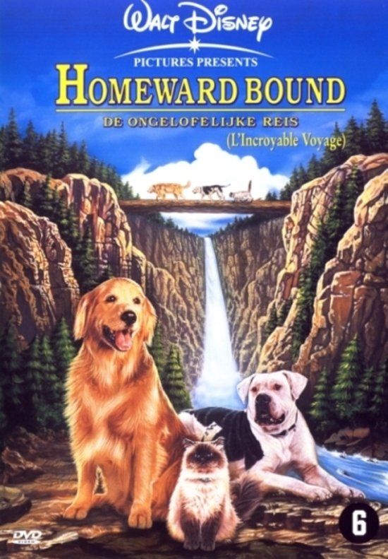 Disney Homeward Bound - The Incredible Journey - DVD