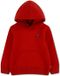 Levi's Kids Mini Batwing Hoodie Red 14 Years Boy