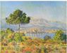 Claude Monet Kunstdruk - Antibes, 1888 71x56cm