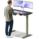 Desktronic HomeOne Zit-sta Bureau Elektrisch In Hoogte Verstelbaar, 120x60 cm Groente/Zwart, Stille Dubbele Motor, Hoogte 72-119cm
