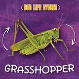 Grasshopper Kidhaven Publishing Bug Life Cycles- Grasshopper