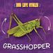 Grasshopper Kidhaven Publishing Bug Life Cycles- Grasshopper