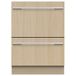 Fisher & Paykel Icecat DD60DHI9