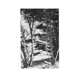 Cargo Records Uk Gentle Wilderness LP