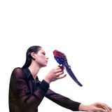 PIAS Nederland Grace Cummings - Storm Queen (LP)