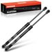 Frankberg 2 x gasveer achterklep 51247239871