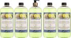 Claudius Cosmetics B.V. Body & Hair Fresh Ginger 1 liter met gouden pomp - set van 5 stuks